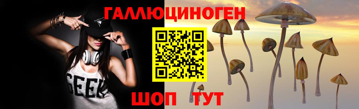 Псилоцибиновые грибы Cubensis  Псилоцибиновые грибы мухоморы  Вход с VPN  Гулькевичи 
